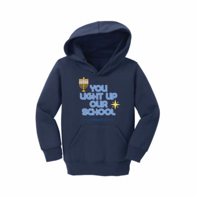 You light up our school toddler hoodie
